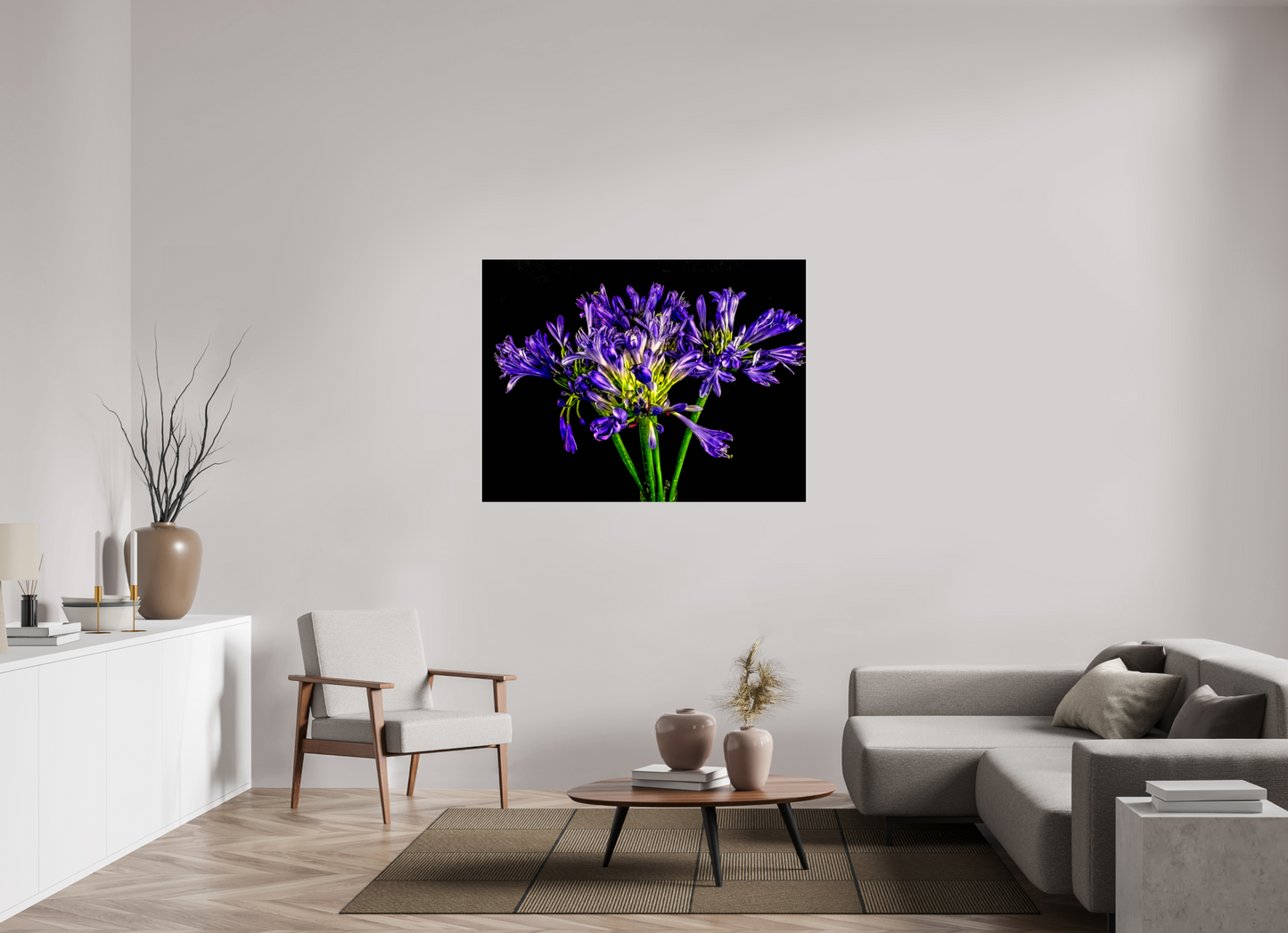 Agapanthus
