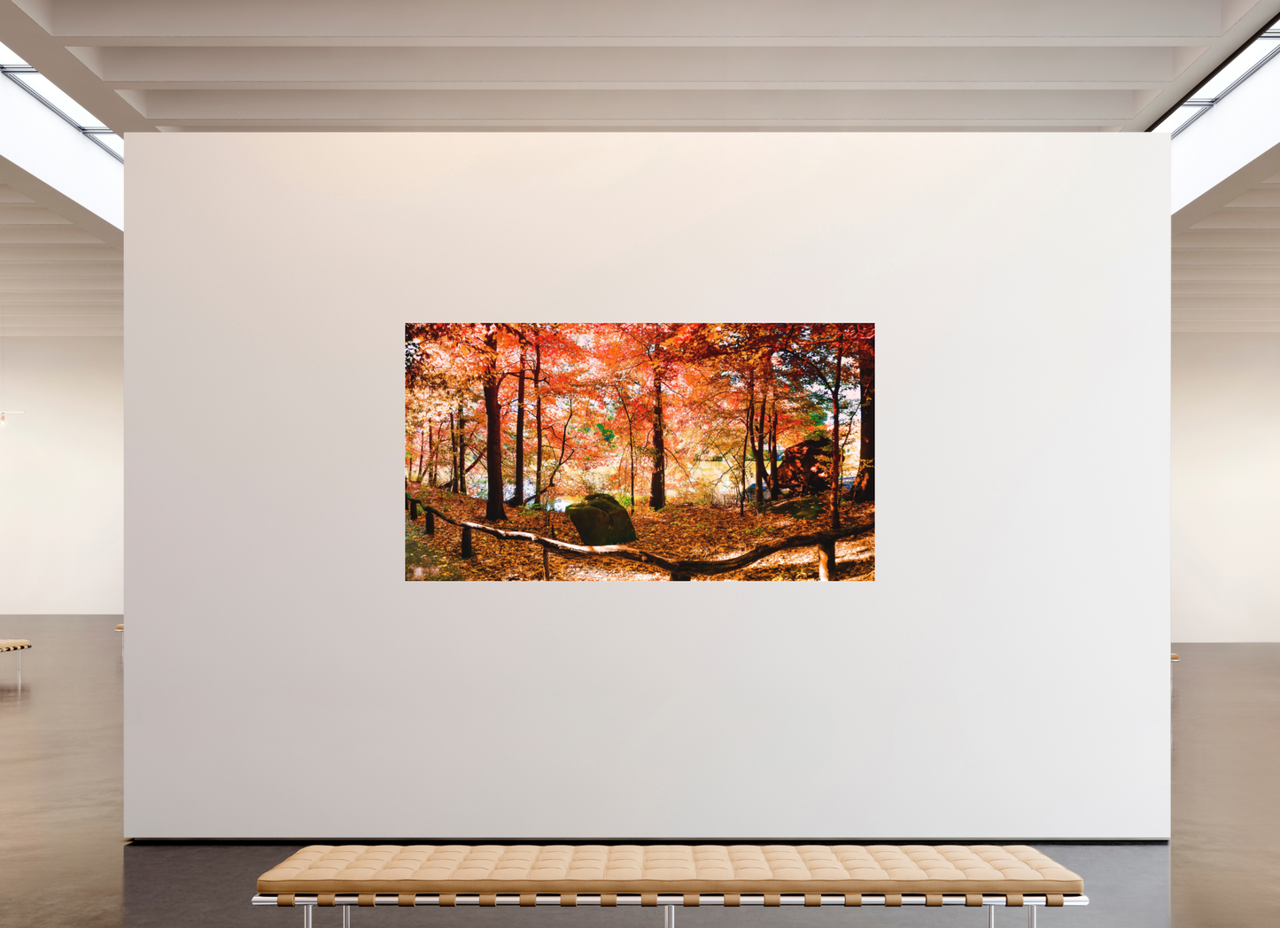 Panoramic Autumn Colors