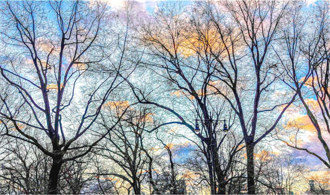 Sunrise in Central Park