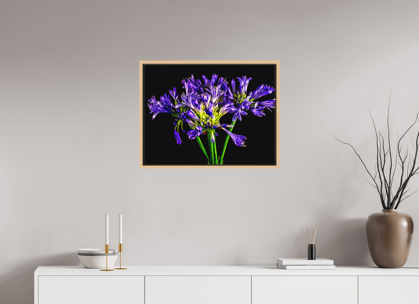 Agapanthus