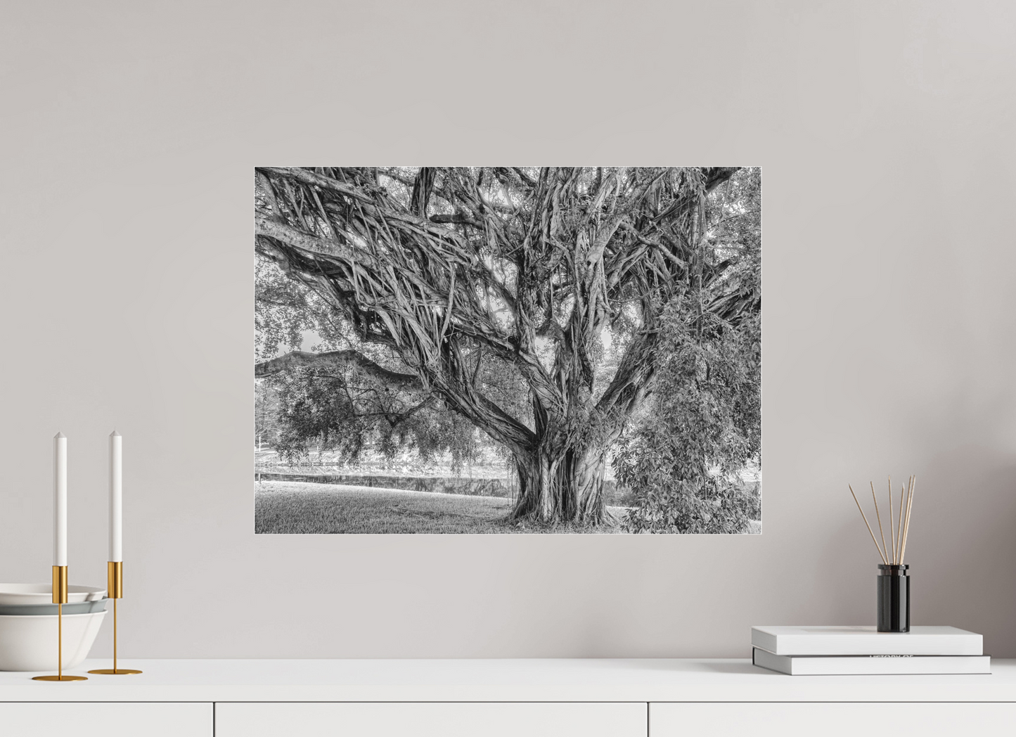Like a Banyan Tree