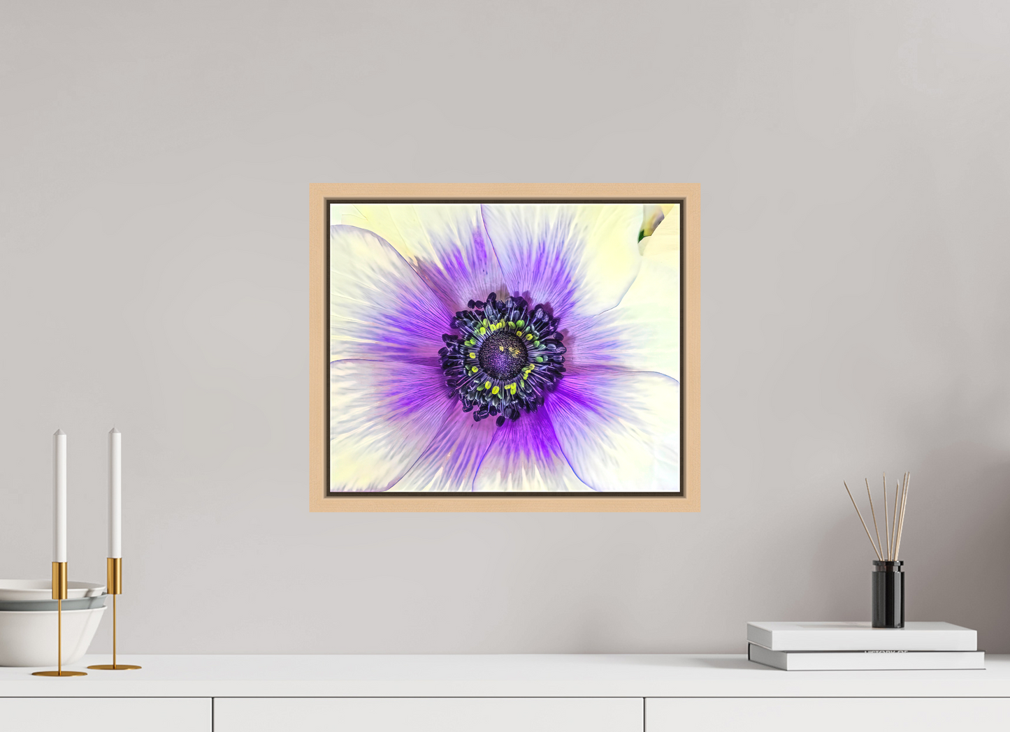 Anemone Splendor