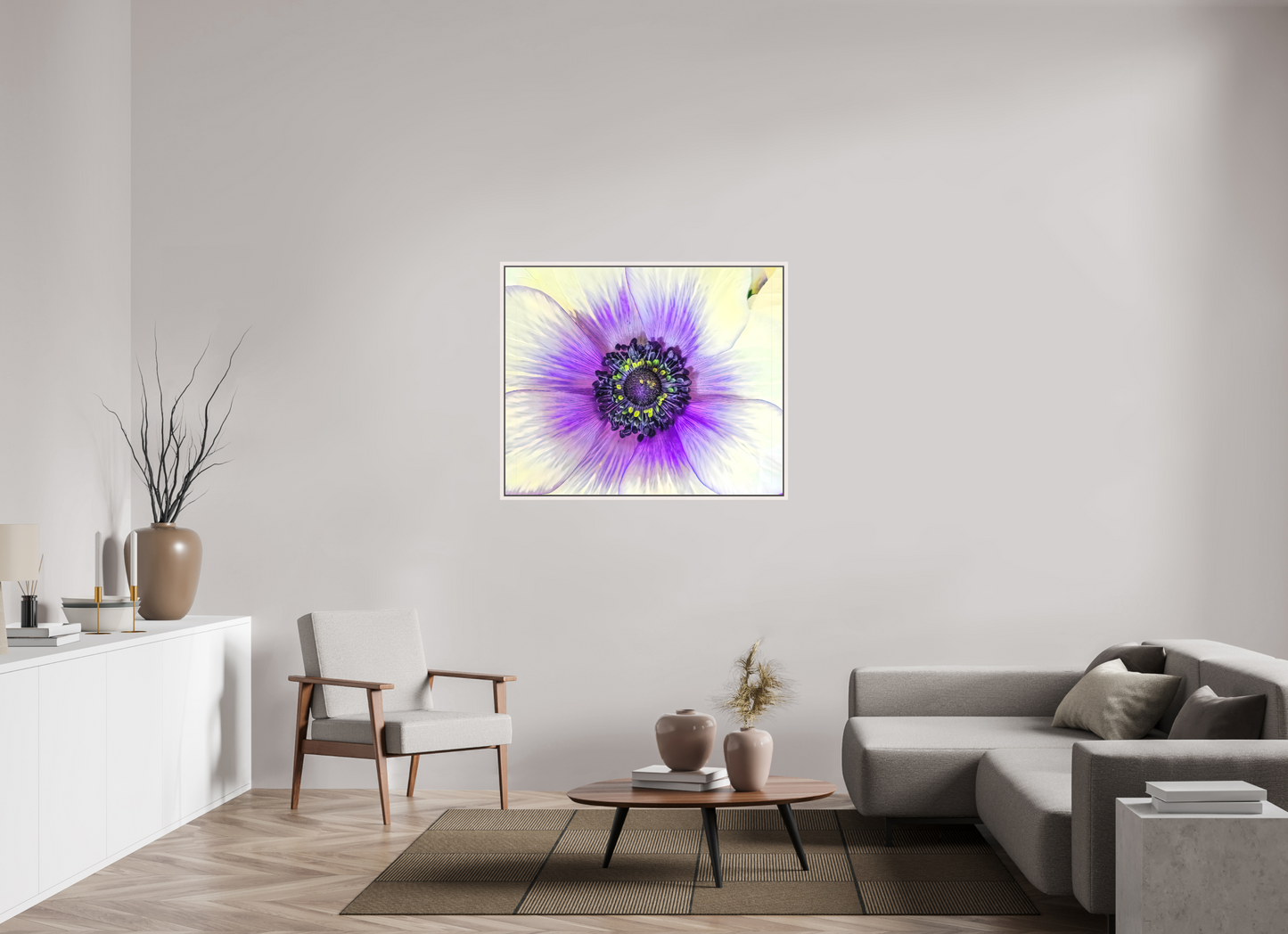 Anemone Splendor
