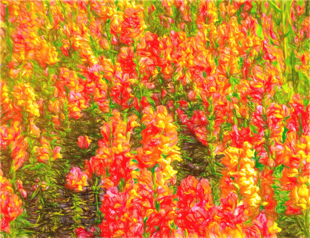 Panoramic Golden Flowers
