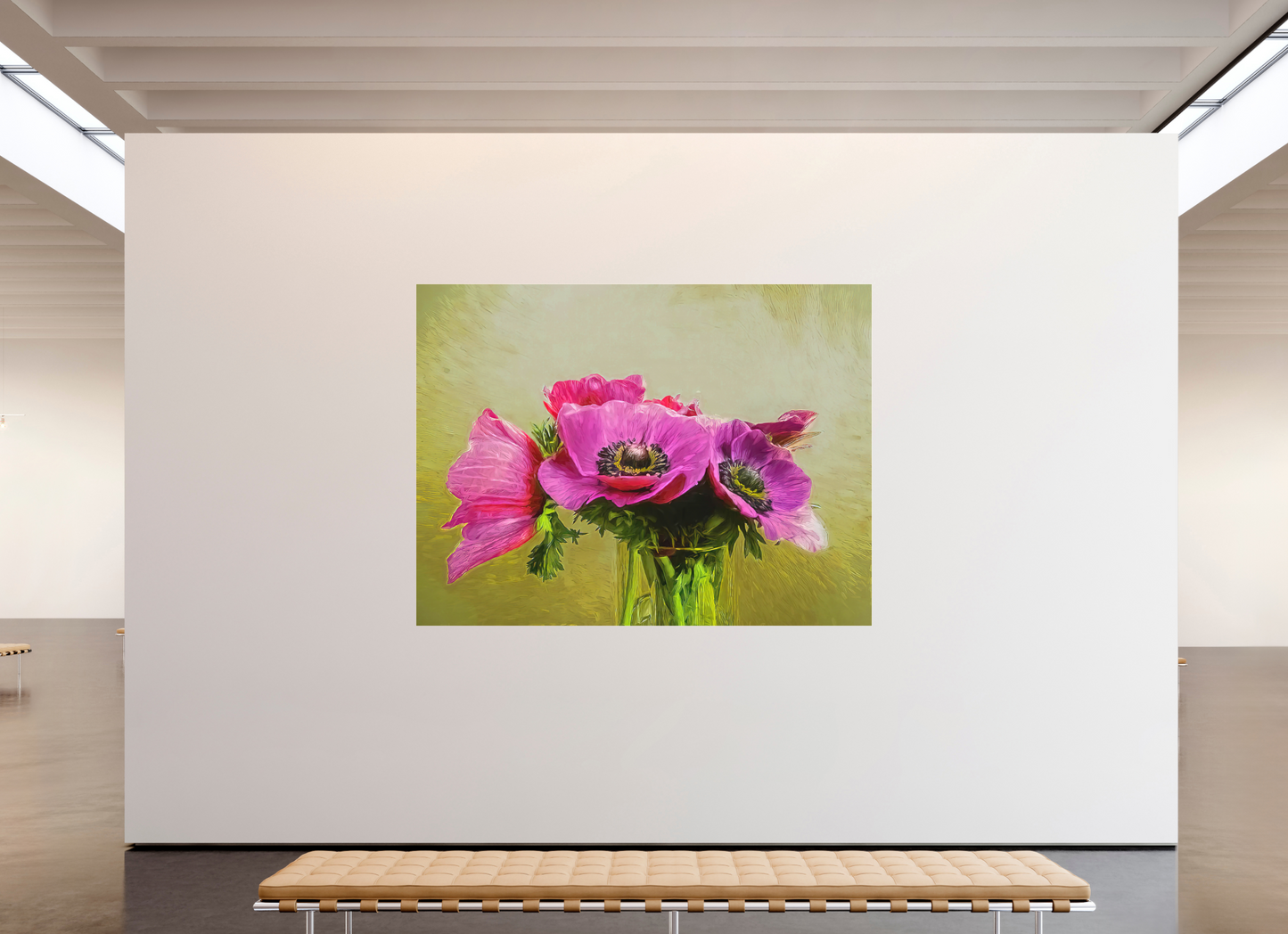 Anemone Love