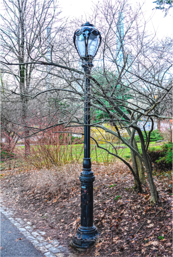 Lamplight