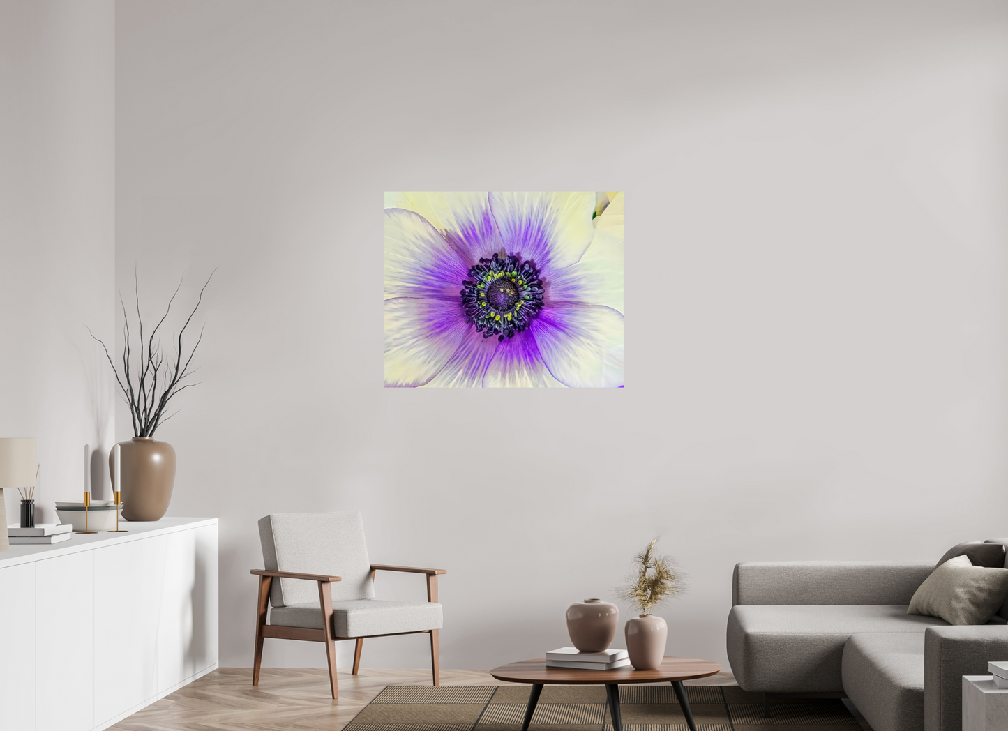 Anemone Splendor