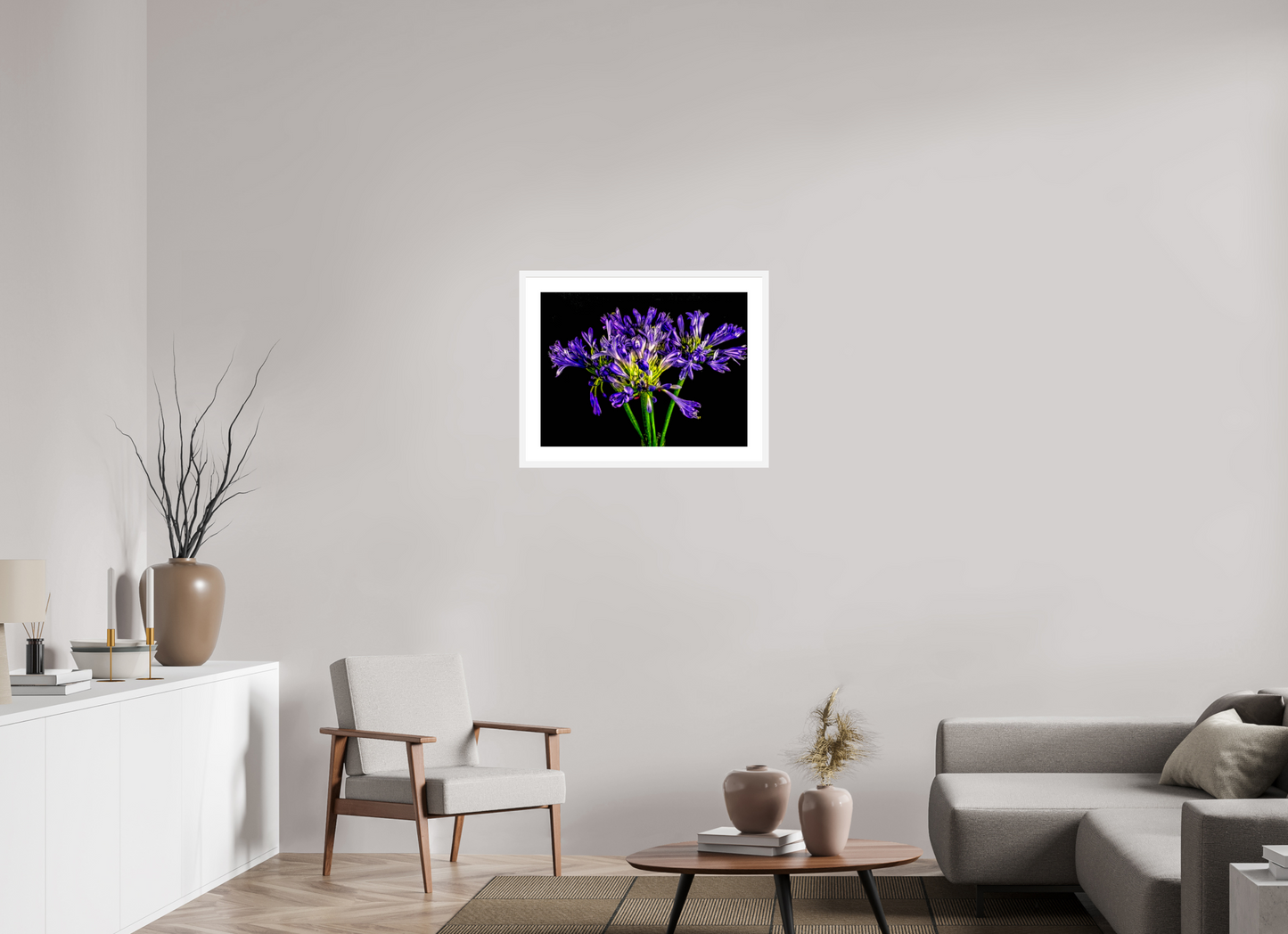Agapanthus