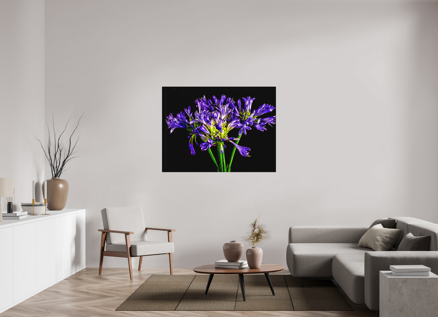 Agapanthus