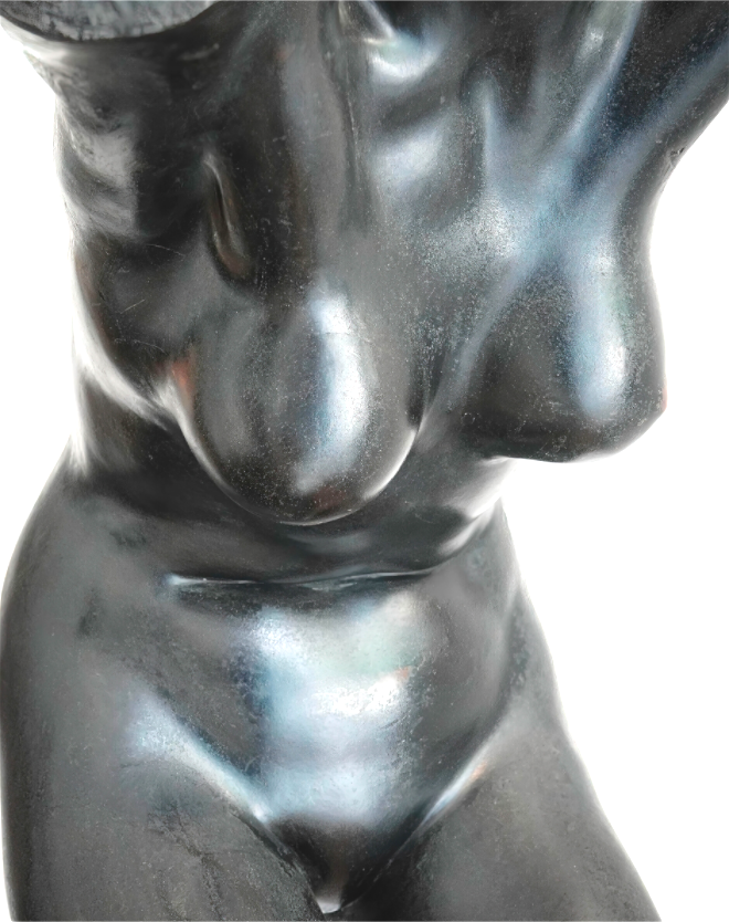 Frontal Woman's Torso