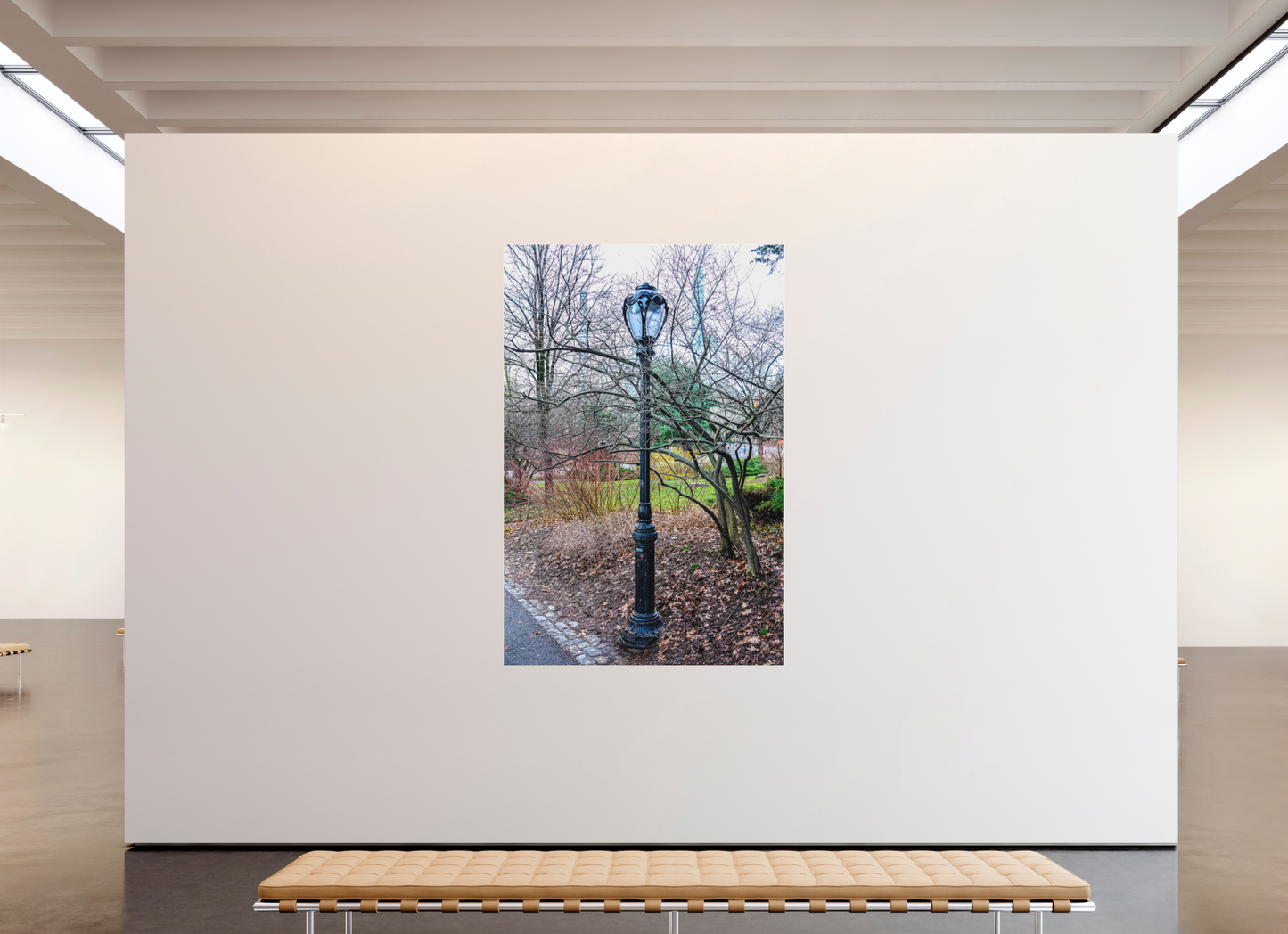 Lamplight