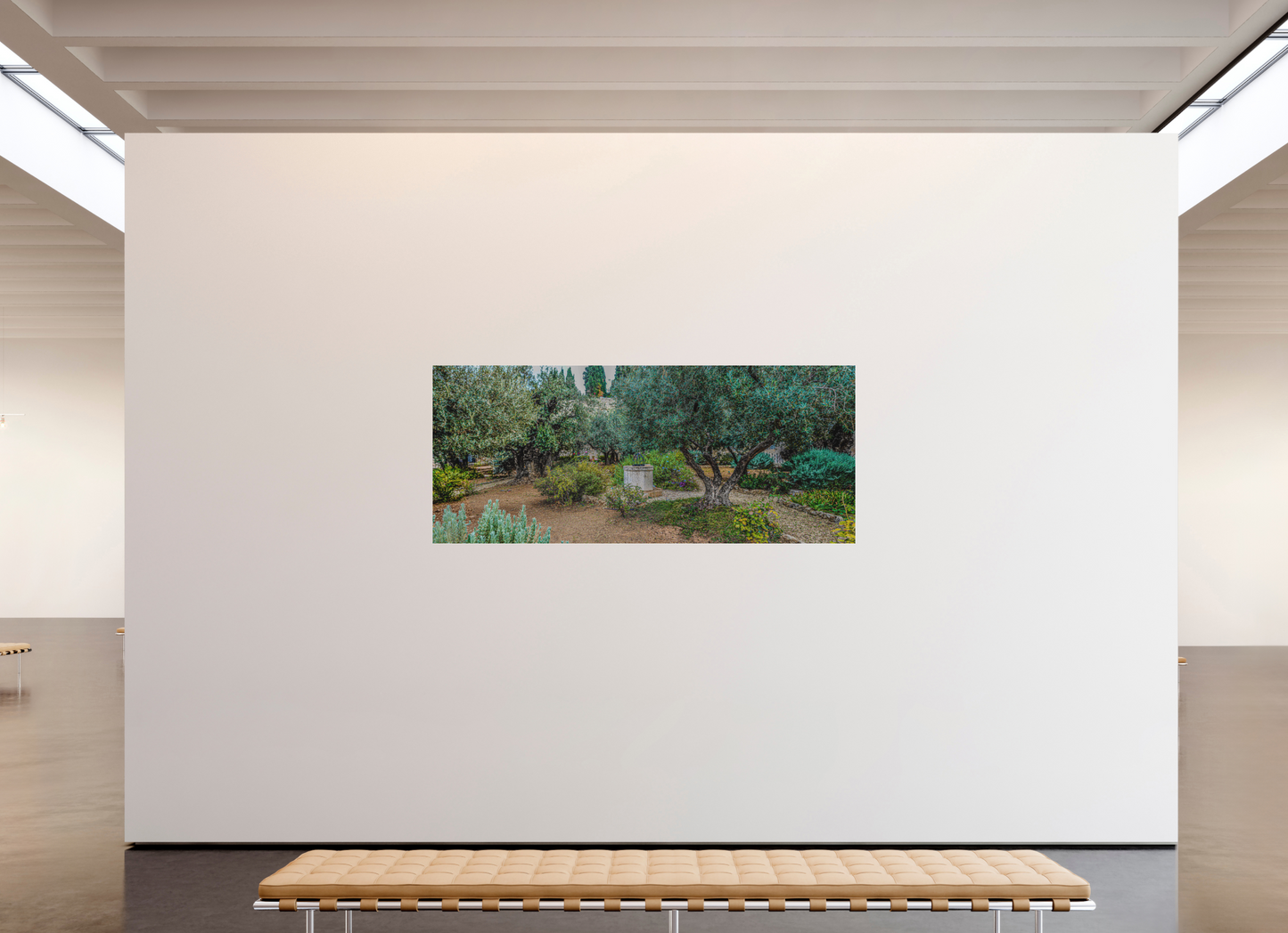 Panoramic Gethsemani Garden