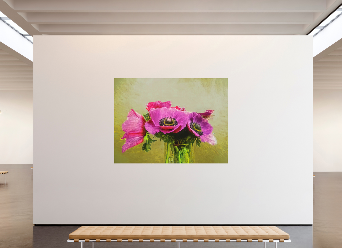 Anemone Love
