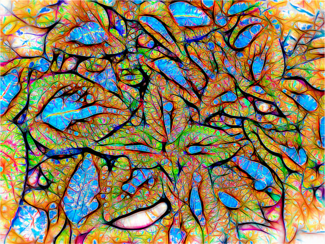 Main image Labyrinth