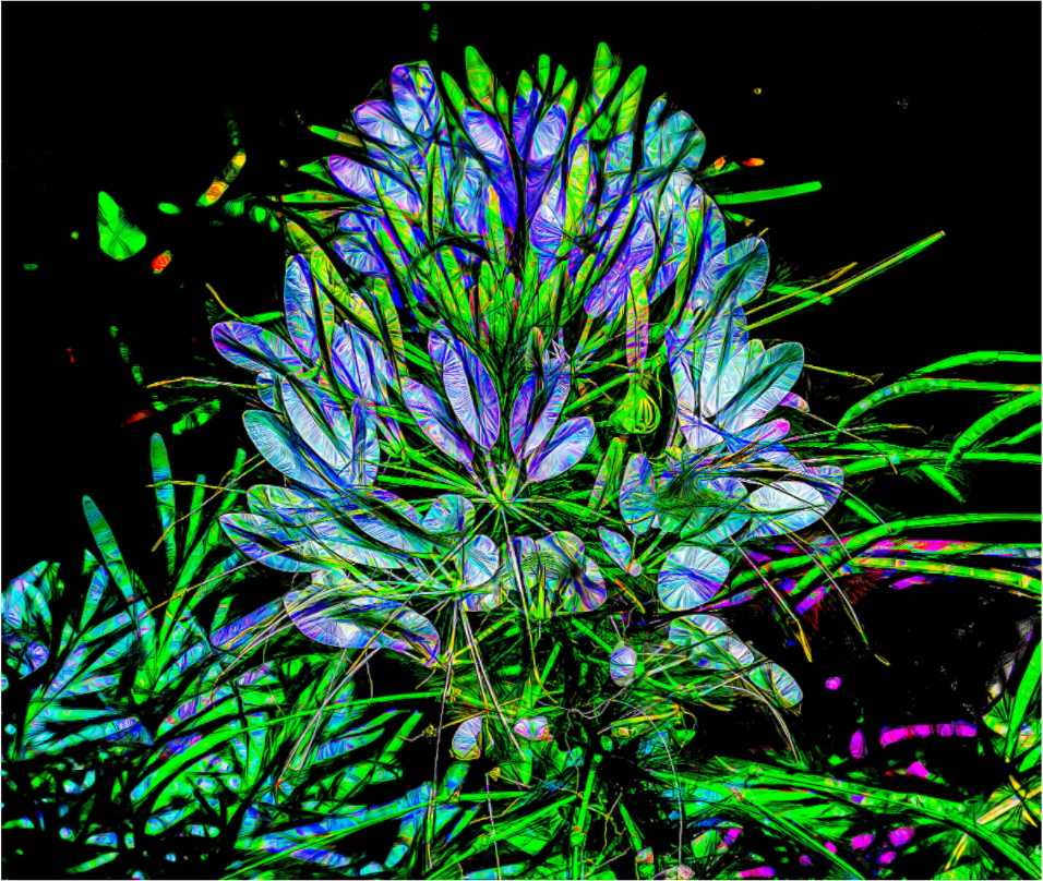 Brilliant Flower