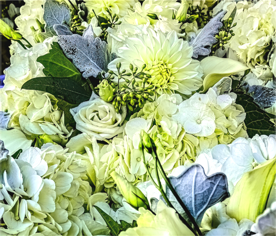 White Flowers