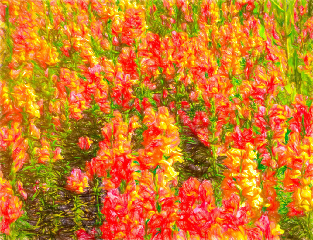 Golden Flowers