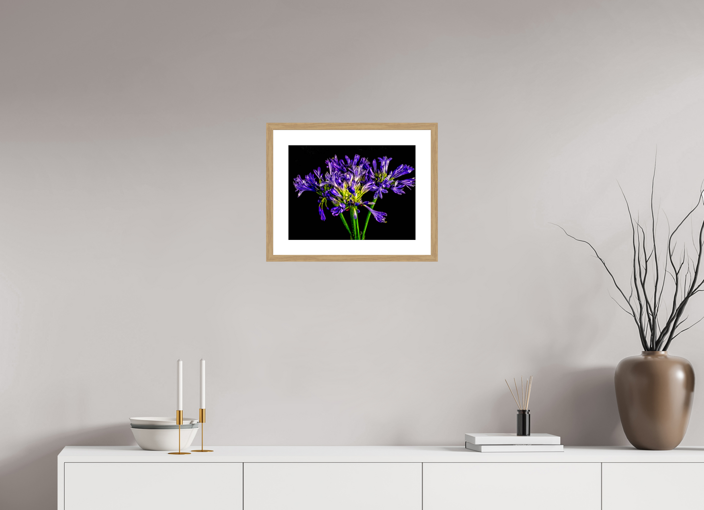 Agapanthus