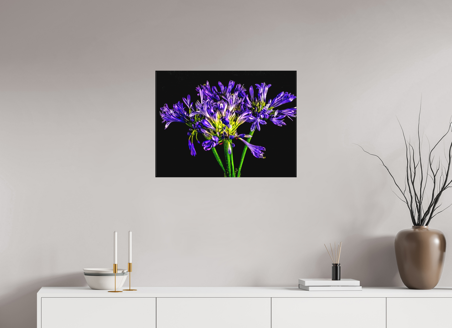 Agapanthus