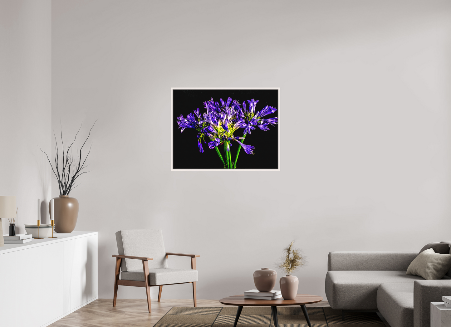 Agapanthus