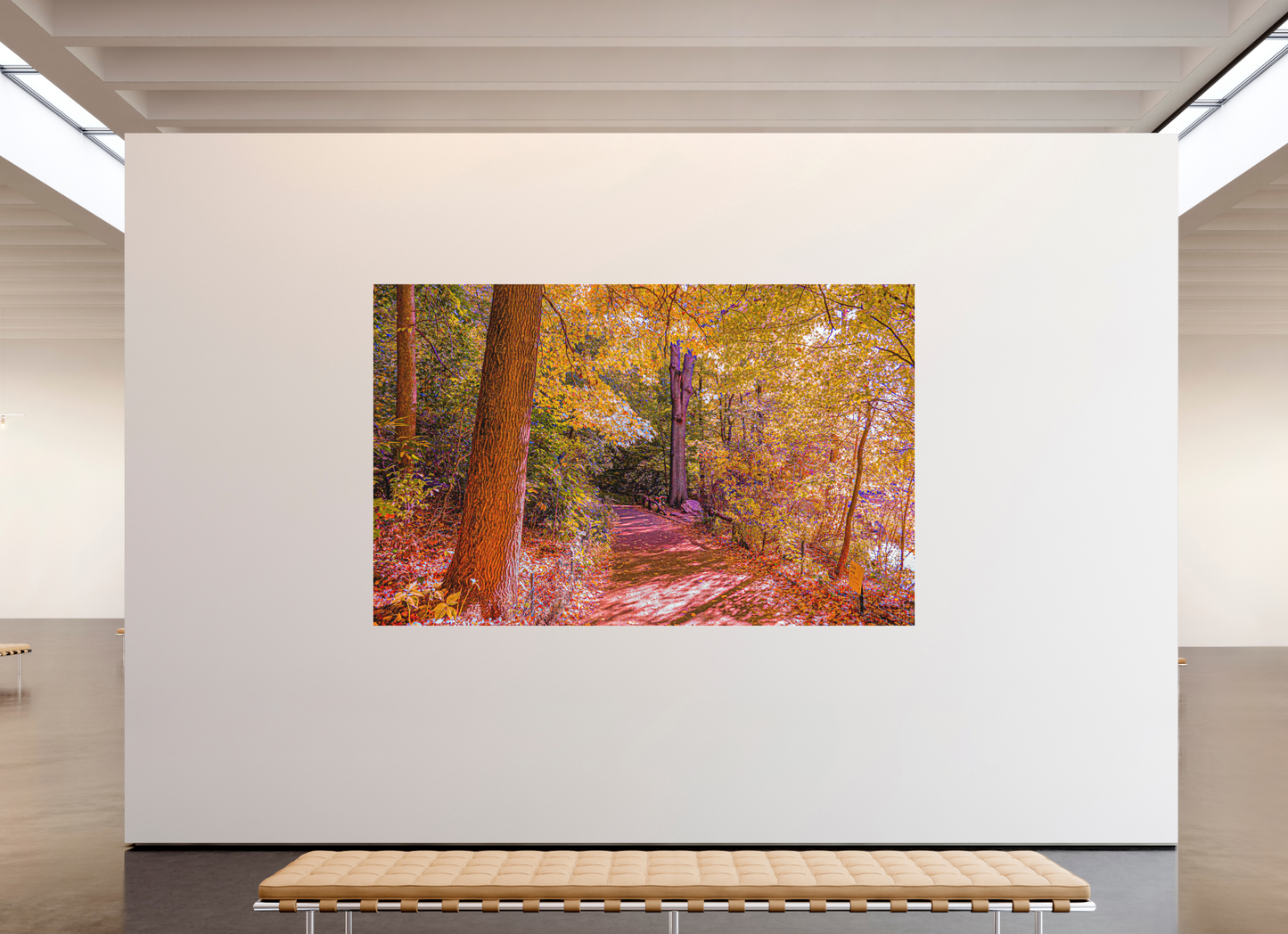 Panoramic Fall at New York's Central Park