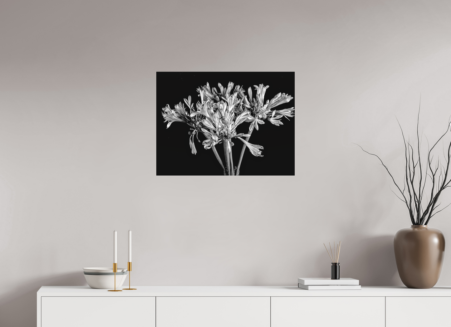 Agapanthus in Black and White