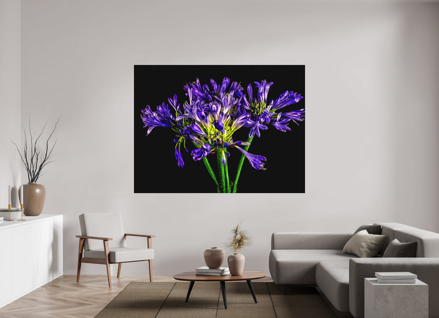 Agapanthus