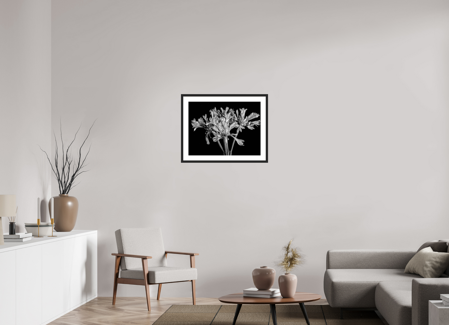 Agapanthus in Black and White