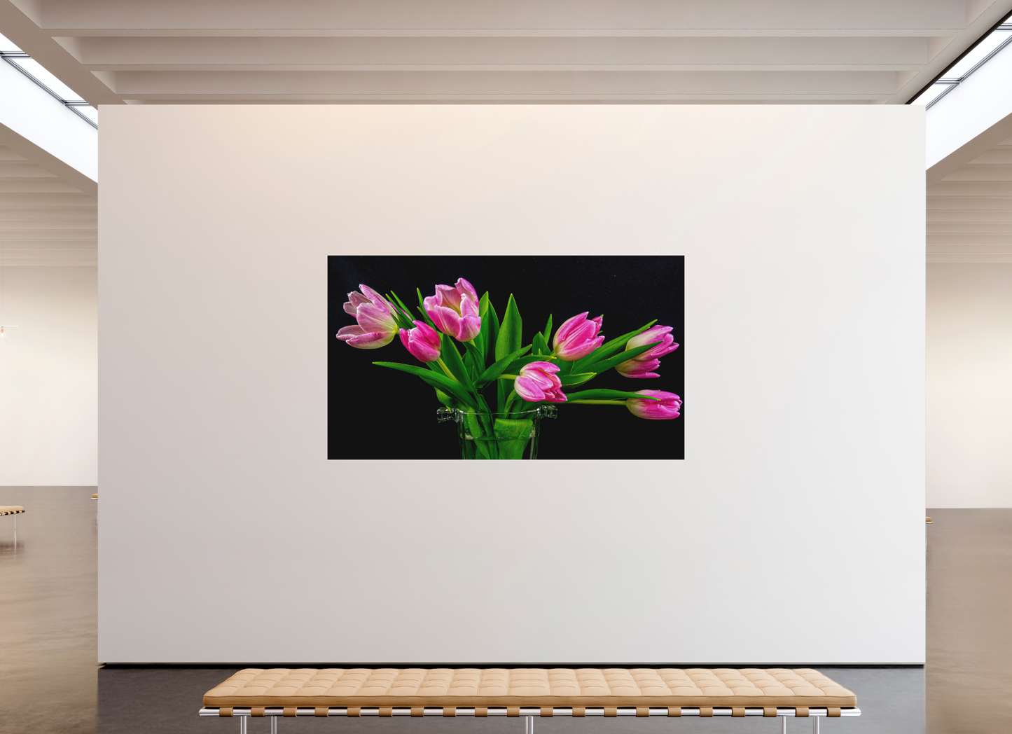 Tulip Dream