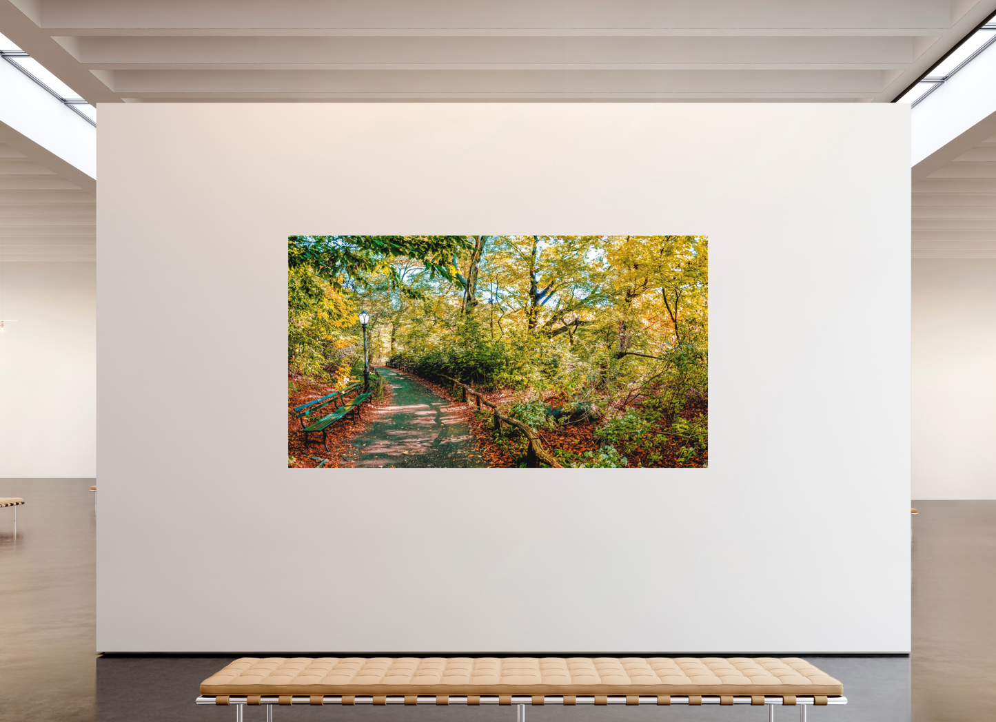 Panoramic Lover's Lane
