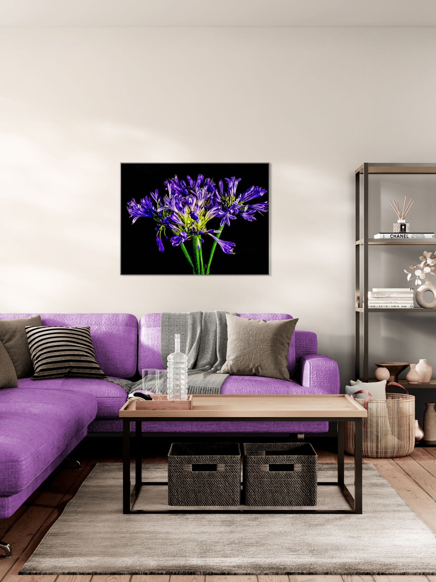 Agapanthus