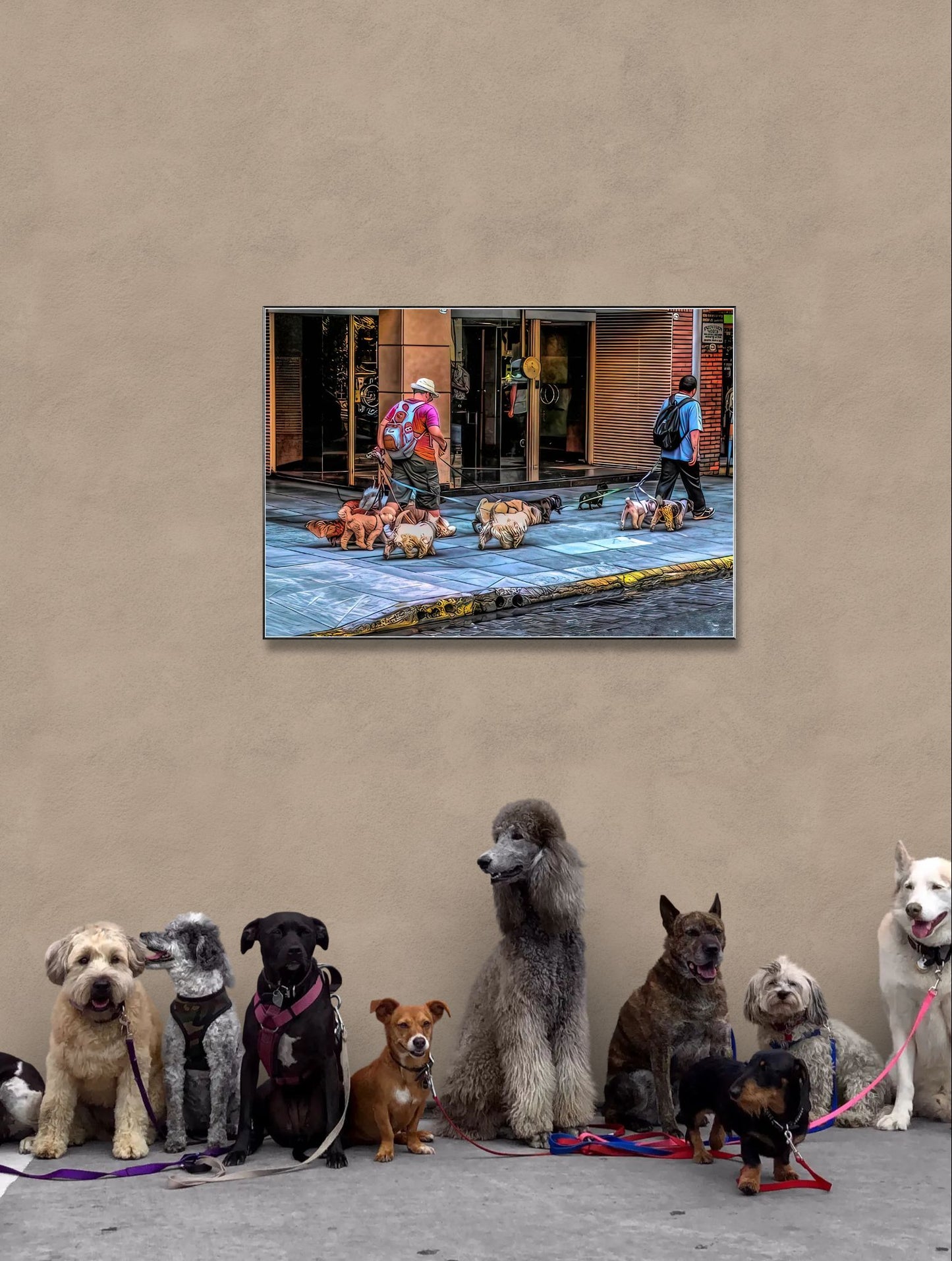 Dog Walker