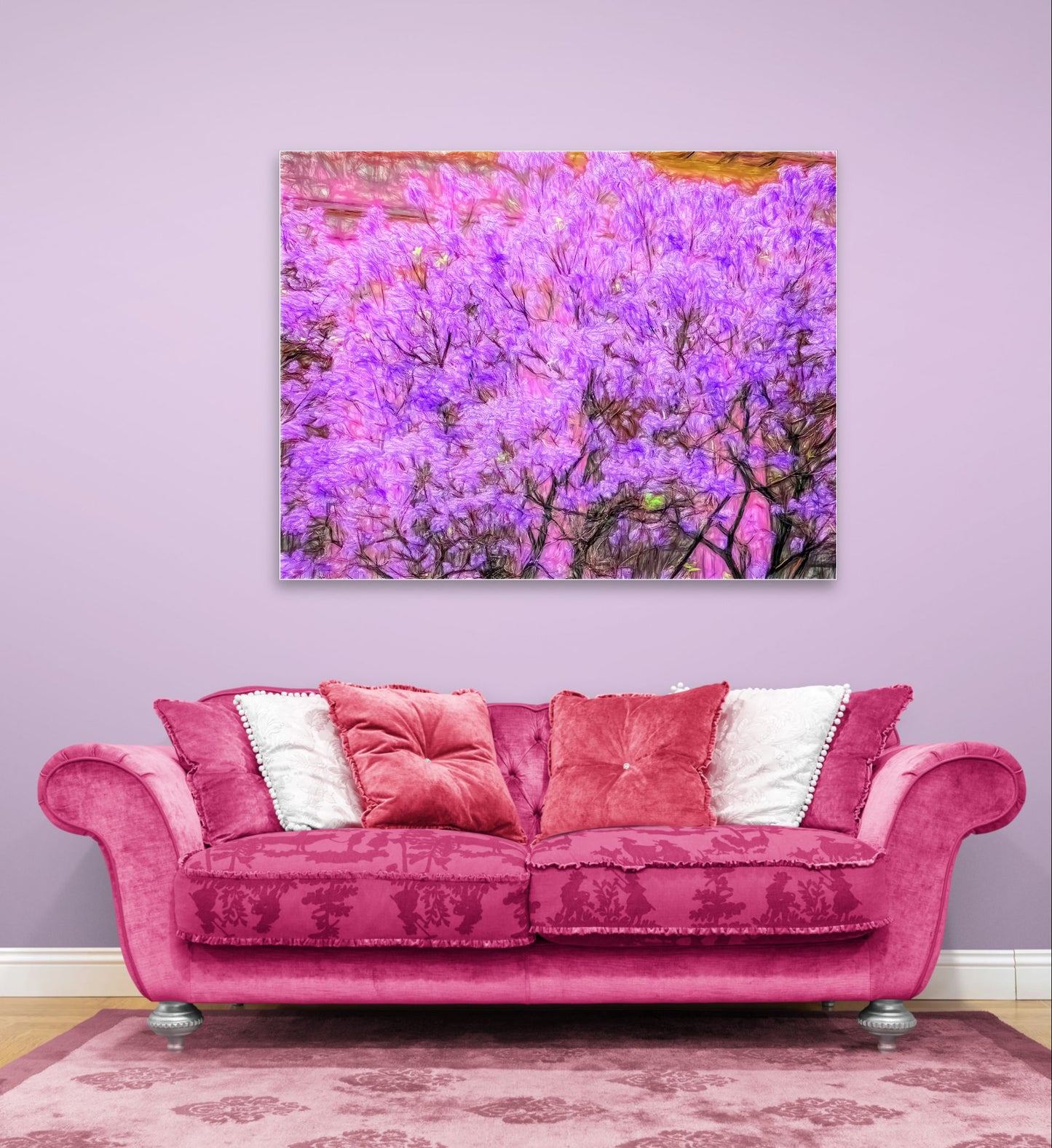 Jacaranda Obsession