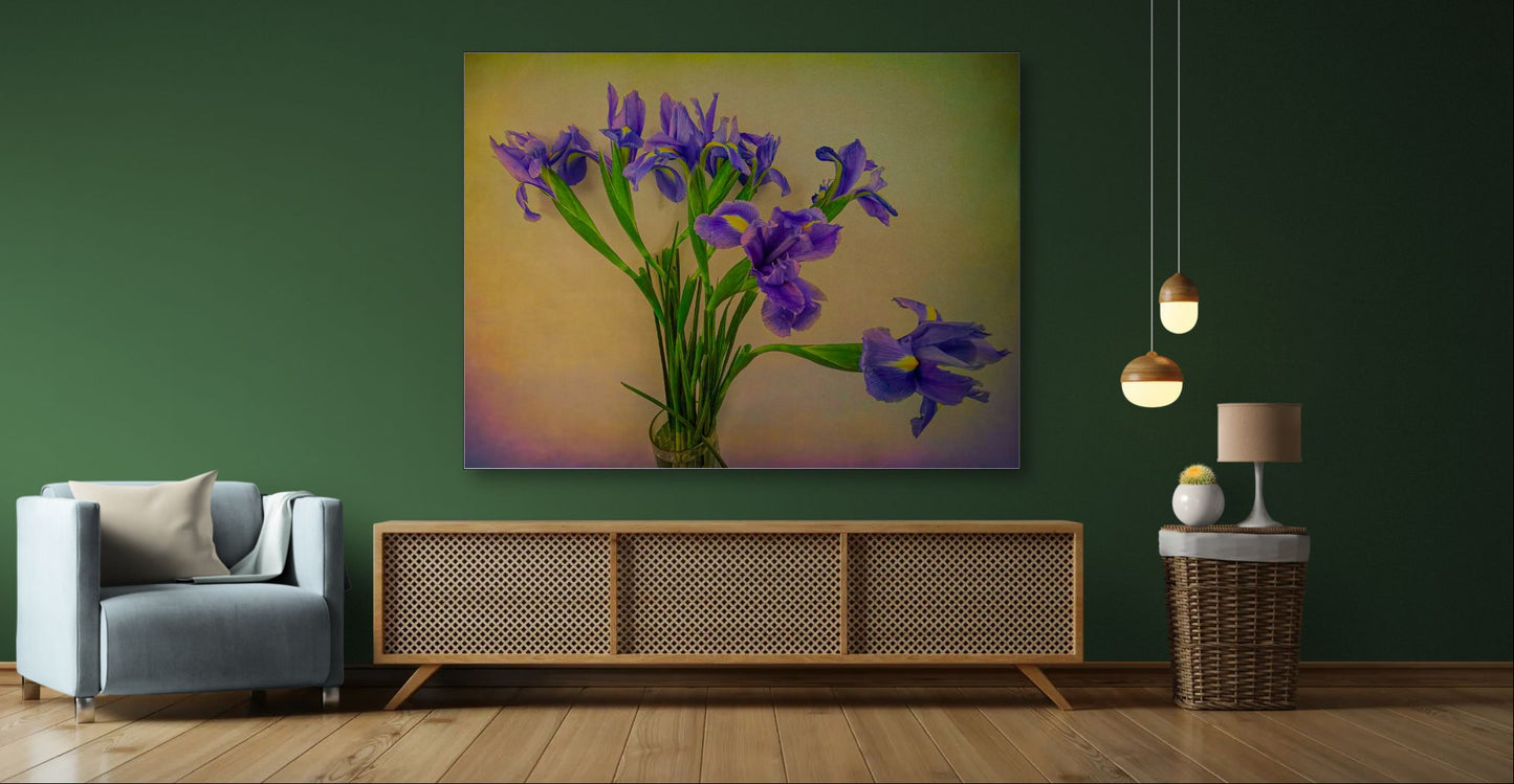 Panoramic Iris Melody