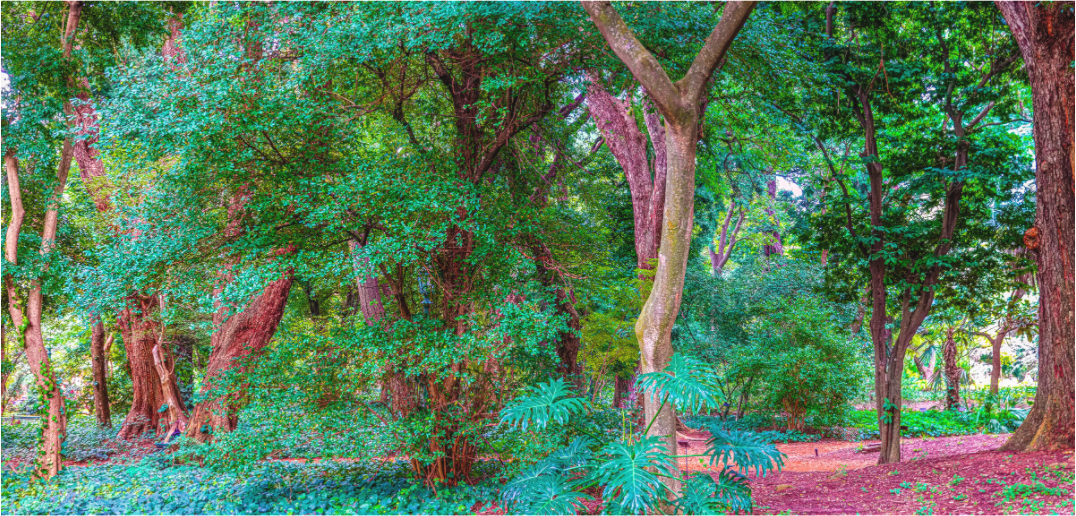 Panoramic Paradise in the City