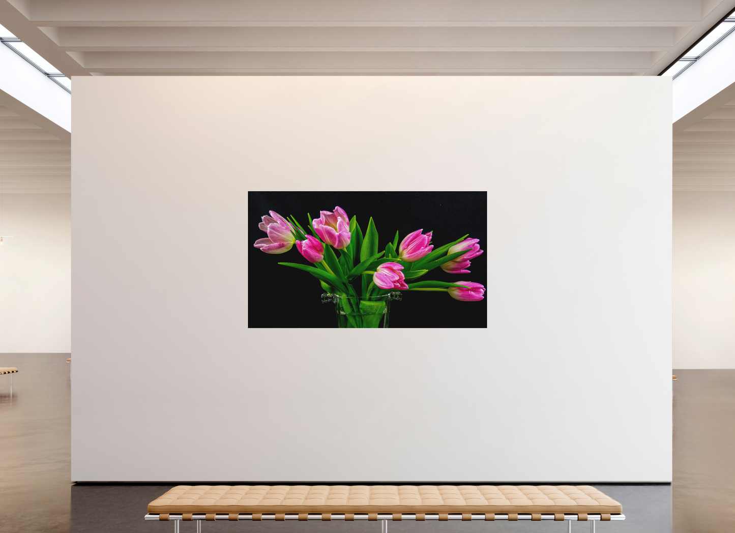 Tulip Dream