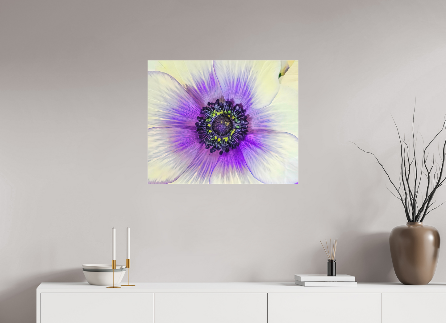 Anemone Splendor