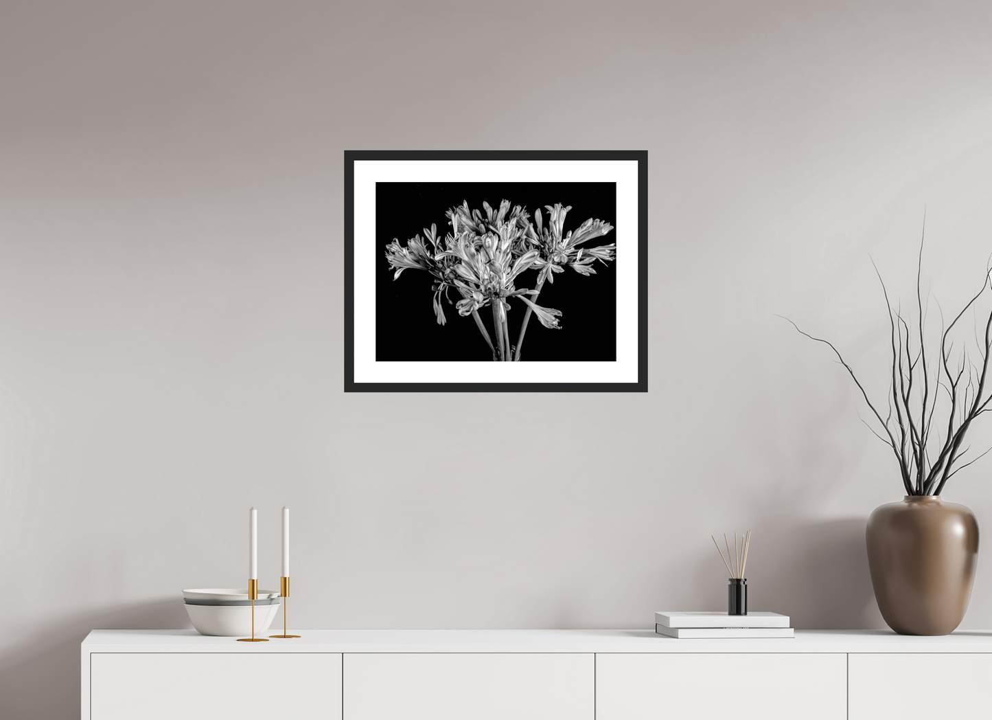 Agapanthus in Black and White