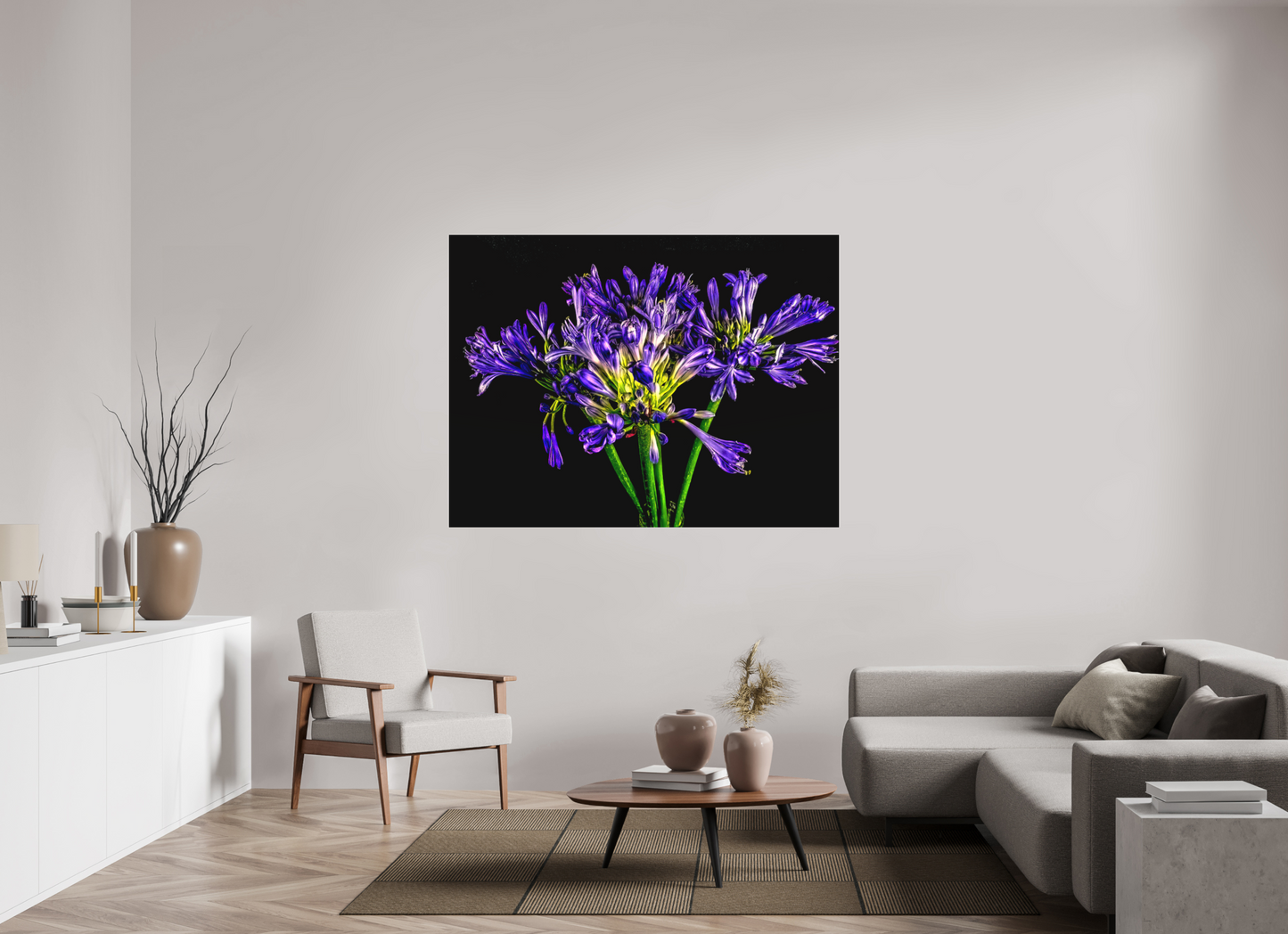 Agapanthus