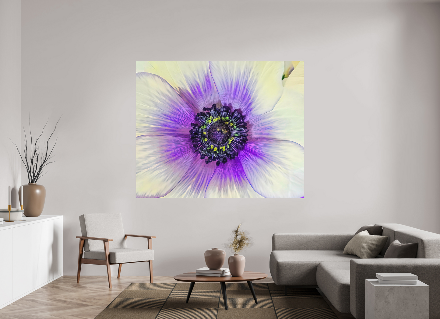 Anemone Splendor