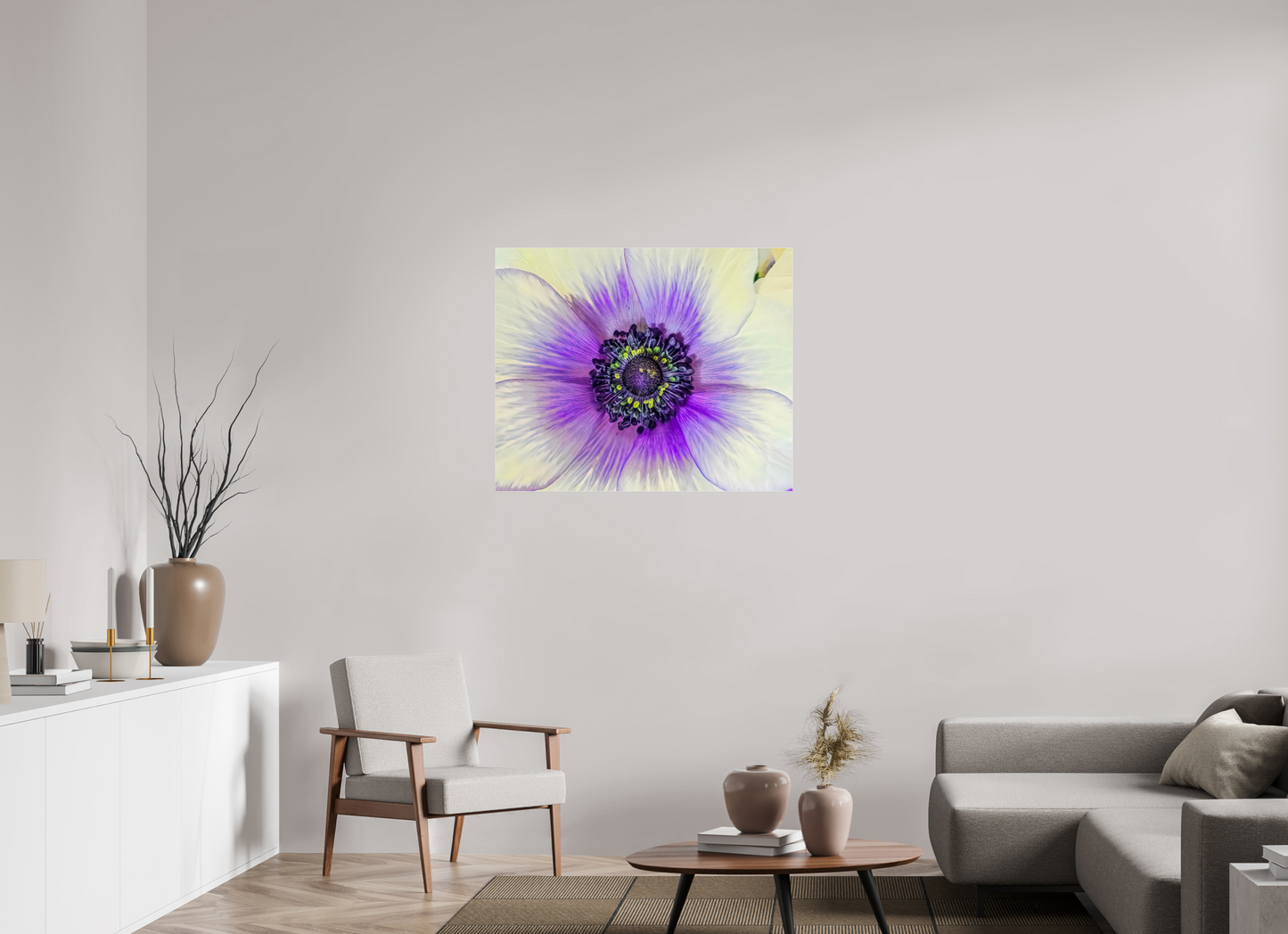 Anemone Splendor