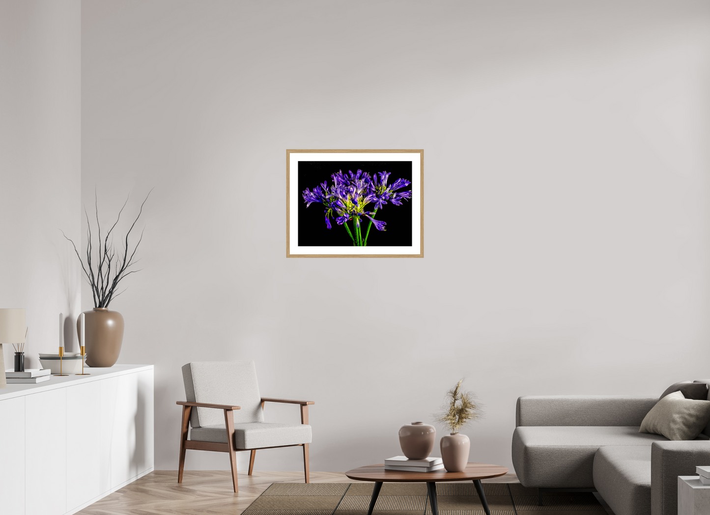 Agapanthus