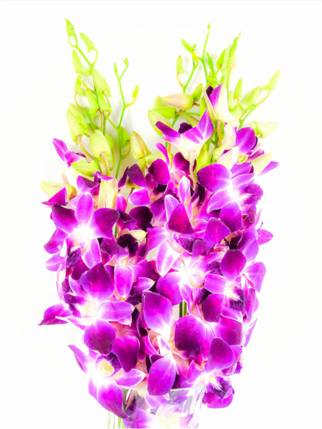 Purple Bouquet