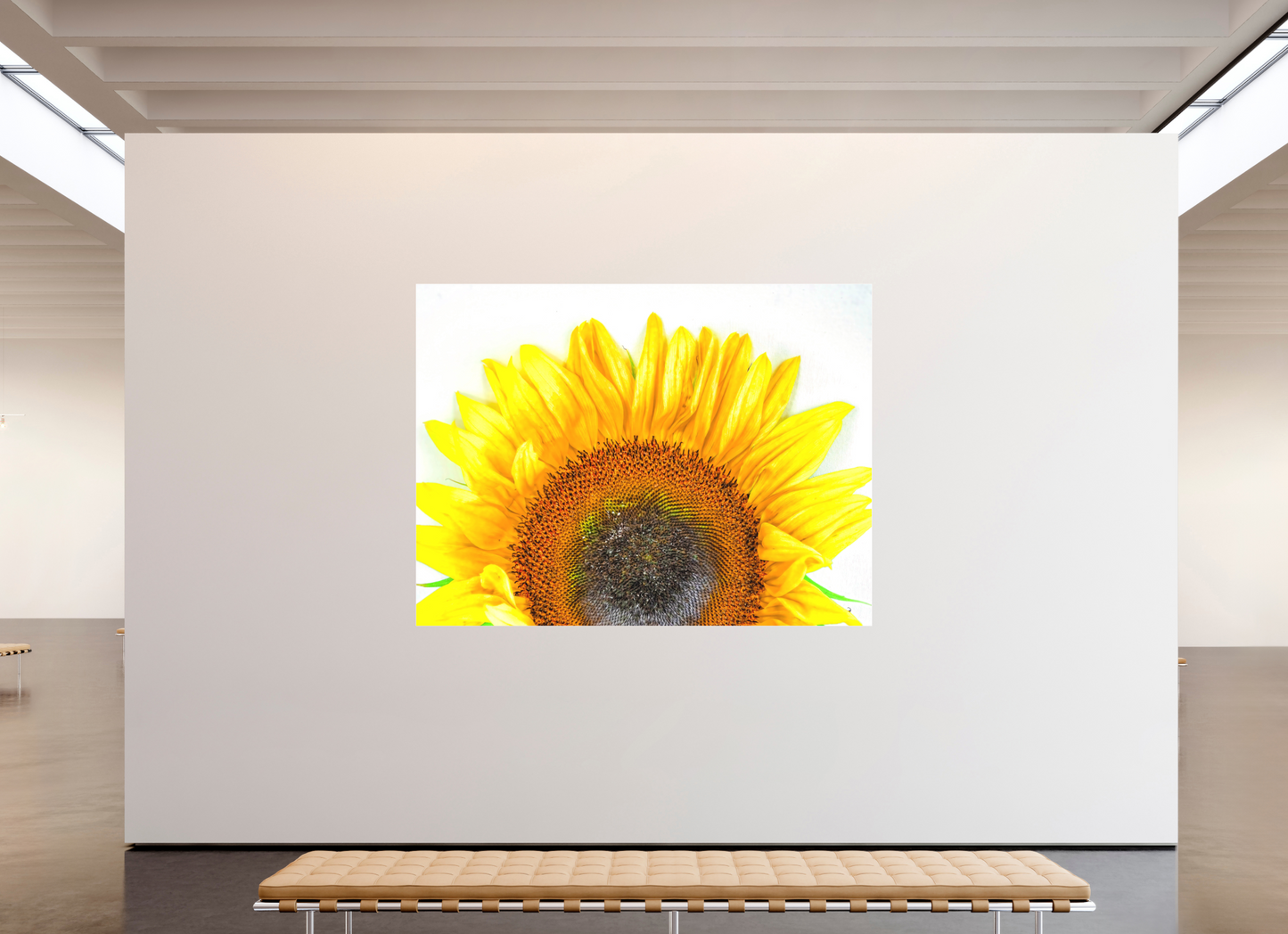 Be My Sunshine