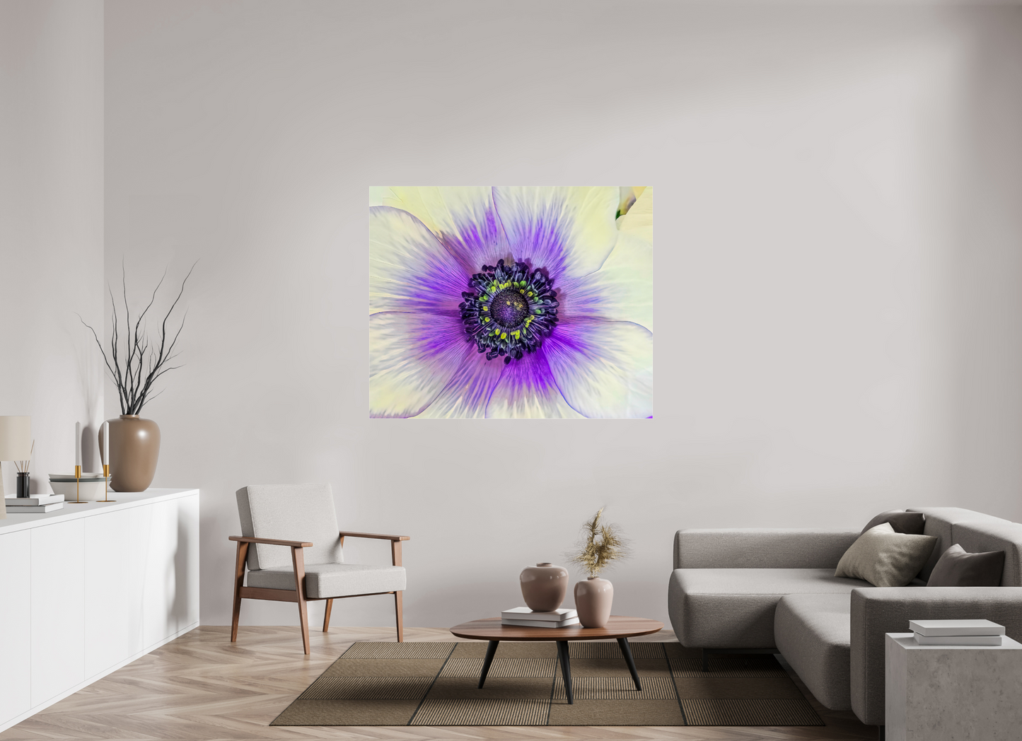 Anemone Splendor