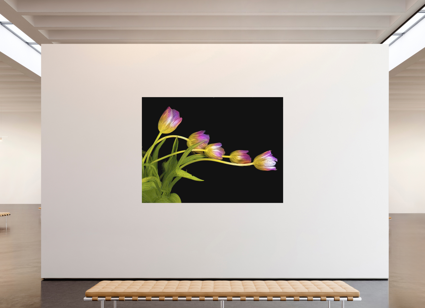 Dancing Tulips