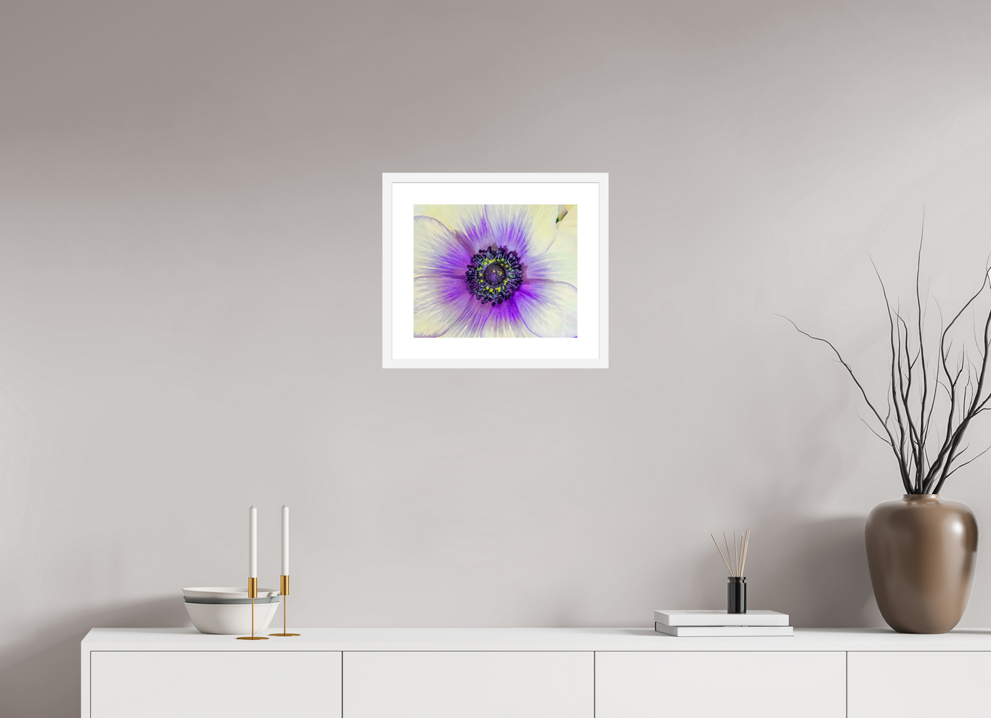 Anemone Splendor