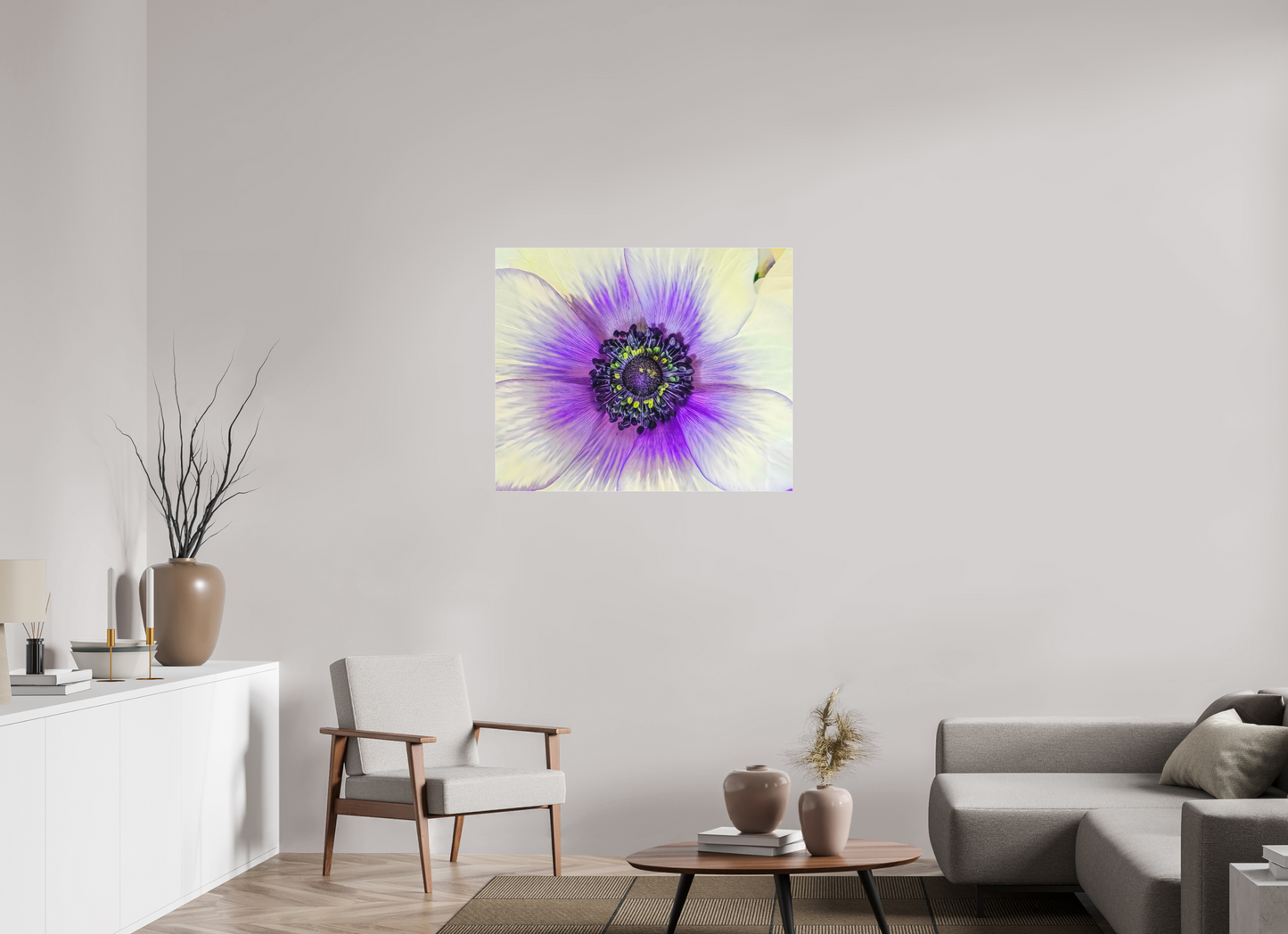 Anemone Splendor