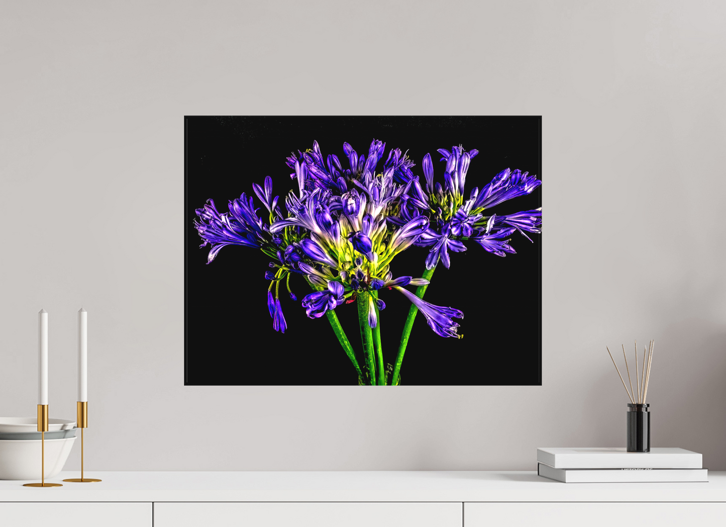 Agapanthus
