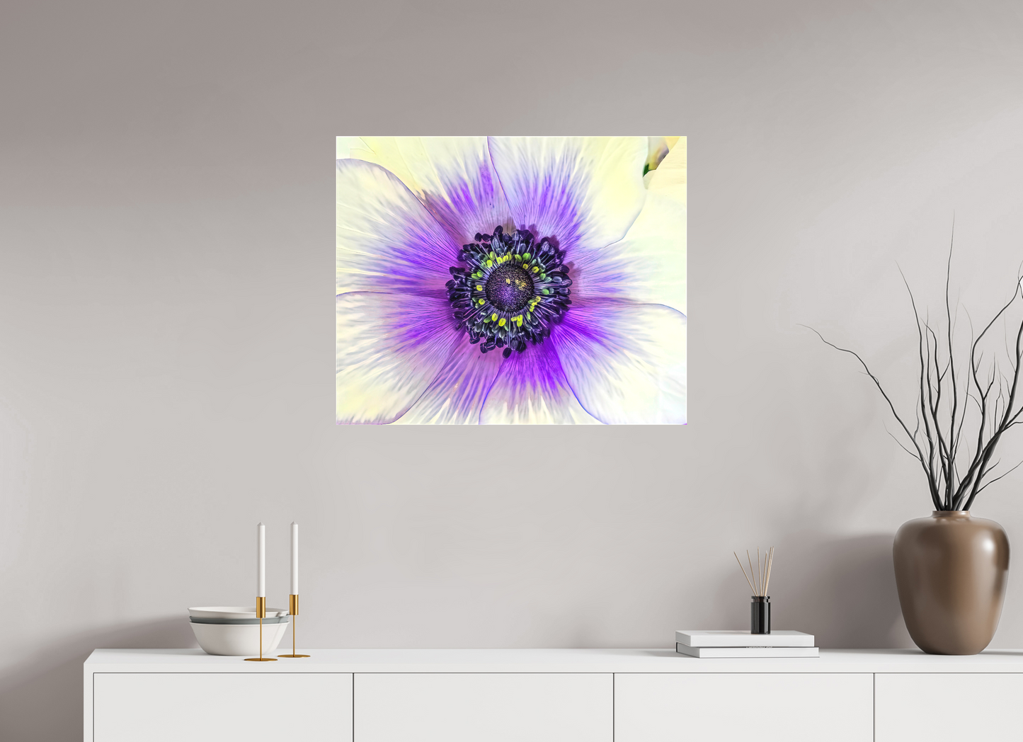 Anemone Splendor